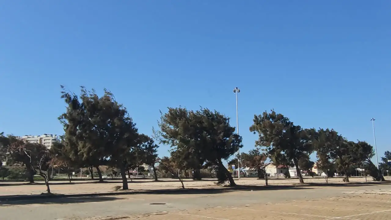 Strong Winter Wind Pushing Trees On The Parking Lot During Storm Eunice In Portugal