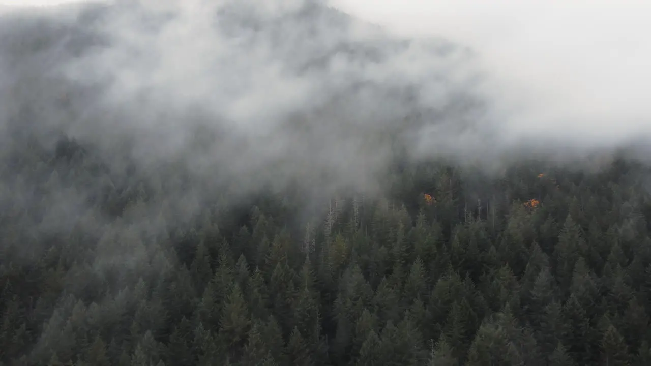 An aerial push in through dramatic Washington fog rolling through the mountains and evergreen forest