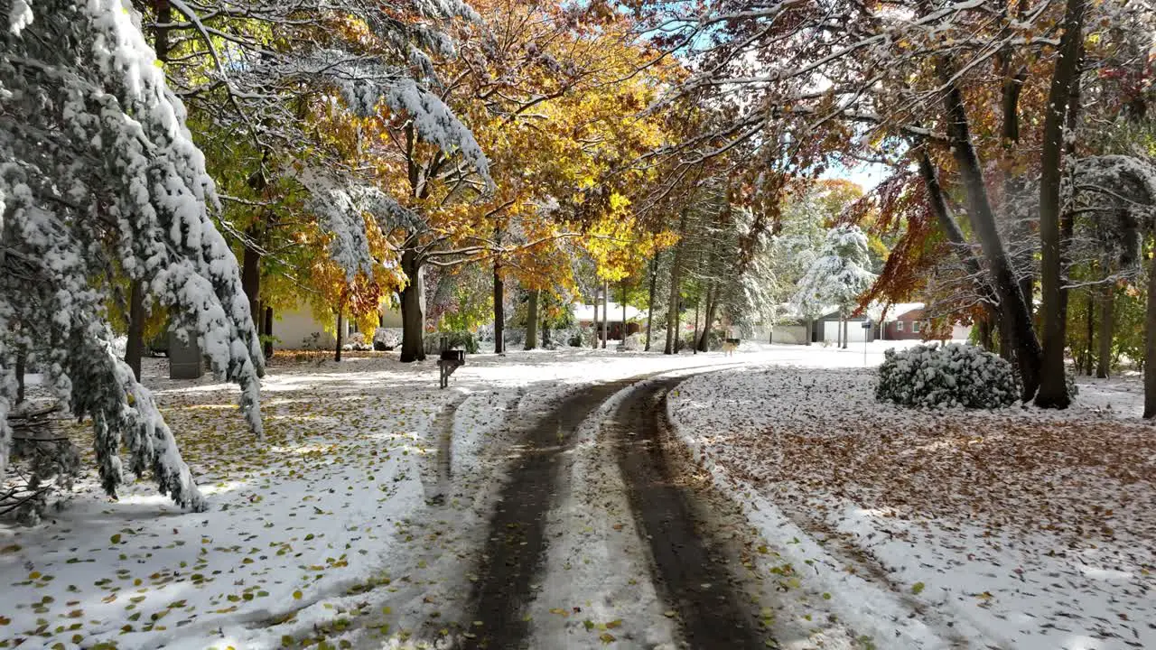 Point of view of a street the morning after a Blizzard reverse track