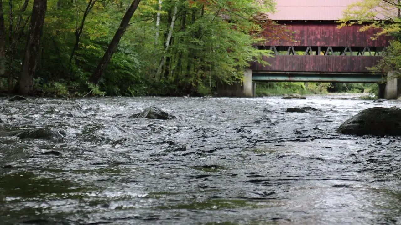 Little River By The Bridge