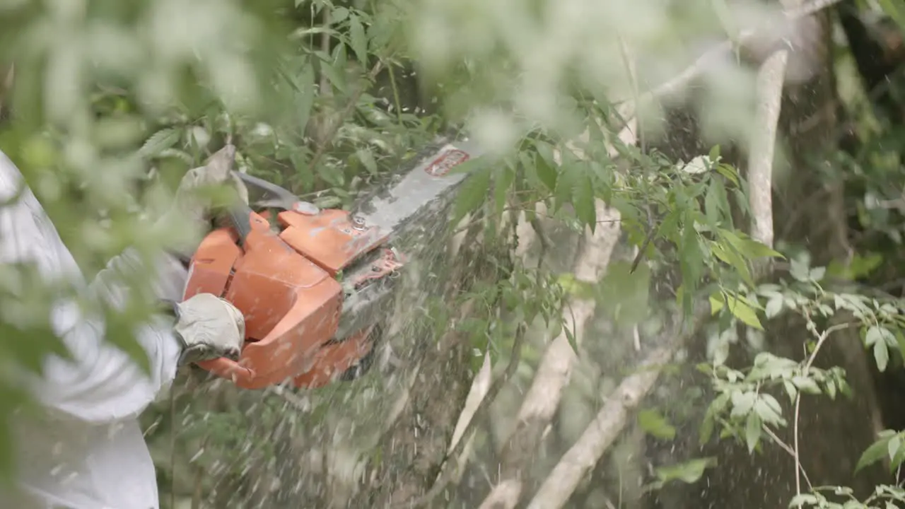 Slow motion telephoto footage of a man chainsawing some small branches with woodchips going everywhere