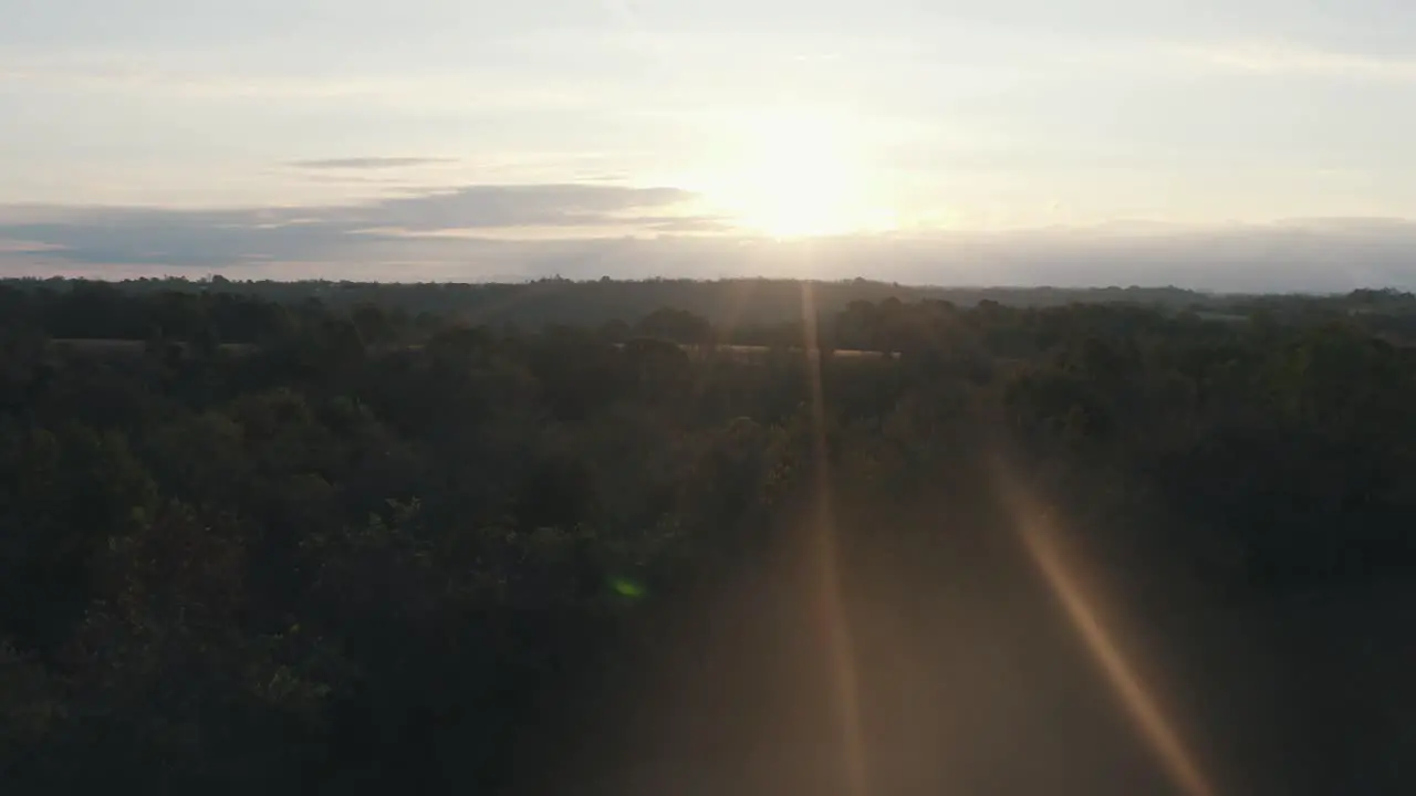 Drone shot flying over trees