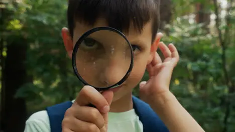 Young boy in the forest