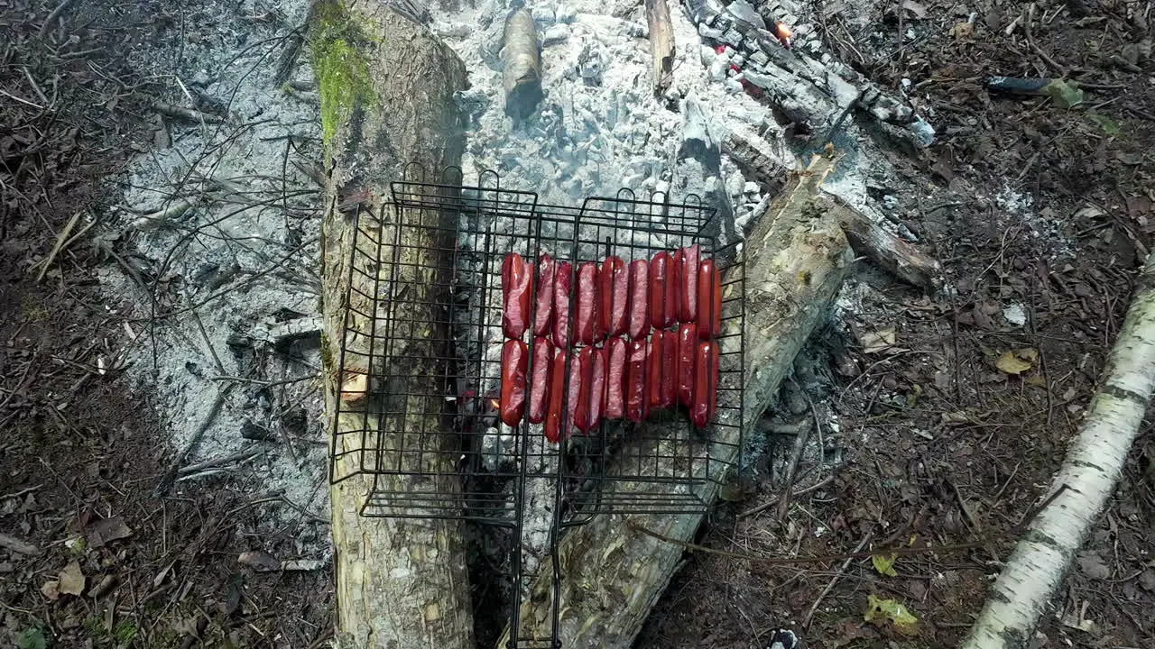 Grilling delicious sausages on burning flame in forest area zoom in view