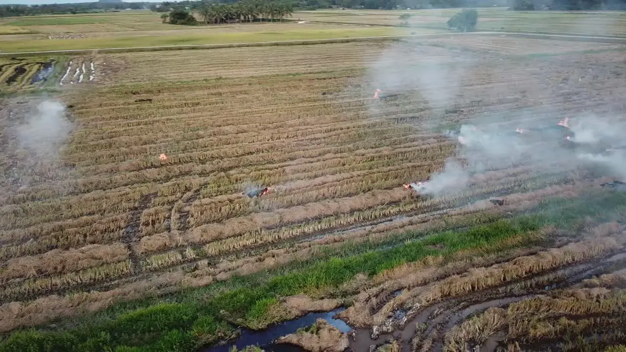 Open burning at harvested paddy field at Malaysia Southeast Asia