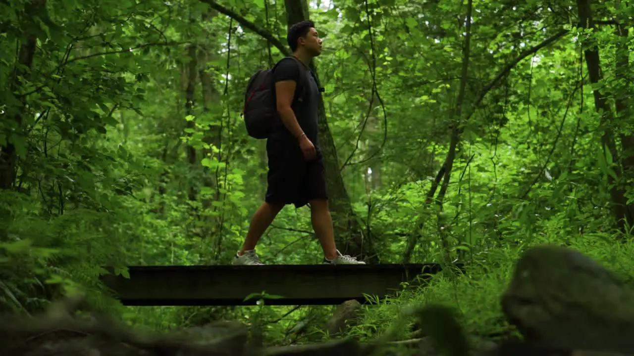 Young man walks over a foot bridge during a hike in the forest carrying a backpack and gazing up at the green trees