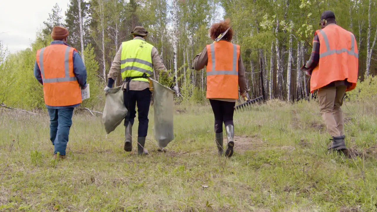 Rear view of group of multiethnic ecologist activists walking in the forest while holding trees and tools to reforest