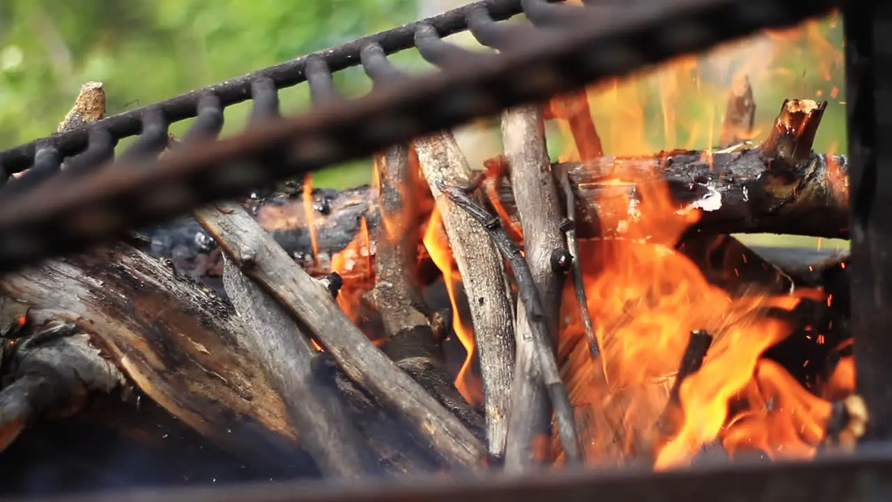 Firewood Burns in Campfire with Grill in Woods