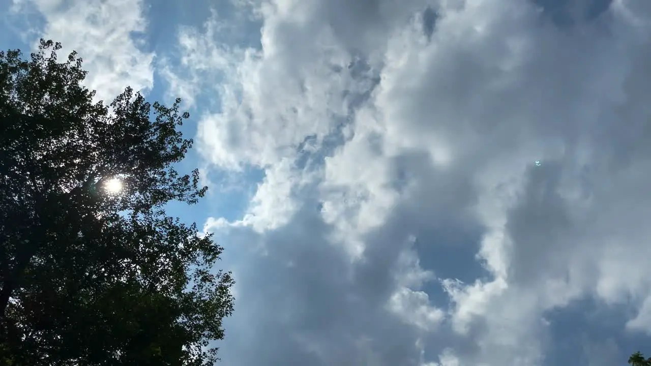 Clouds moving in the sky with sun through a tree