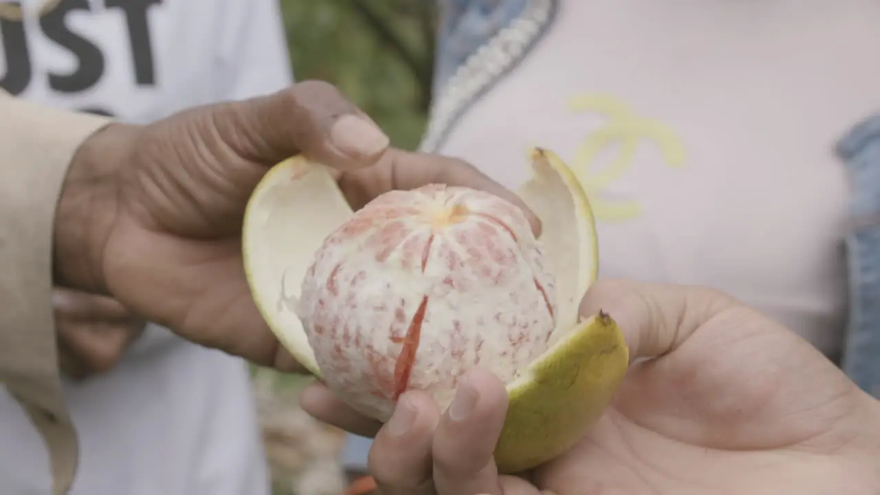 Slow motion footage of a person handing an opened fruit to another person