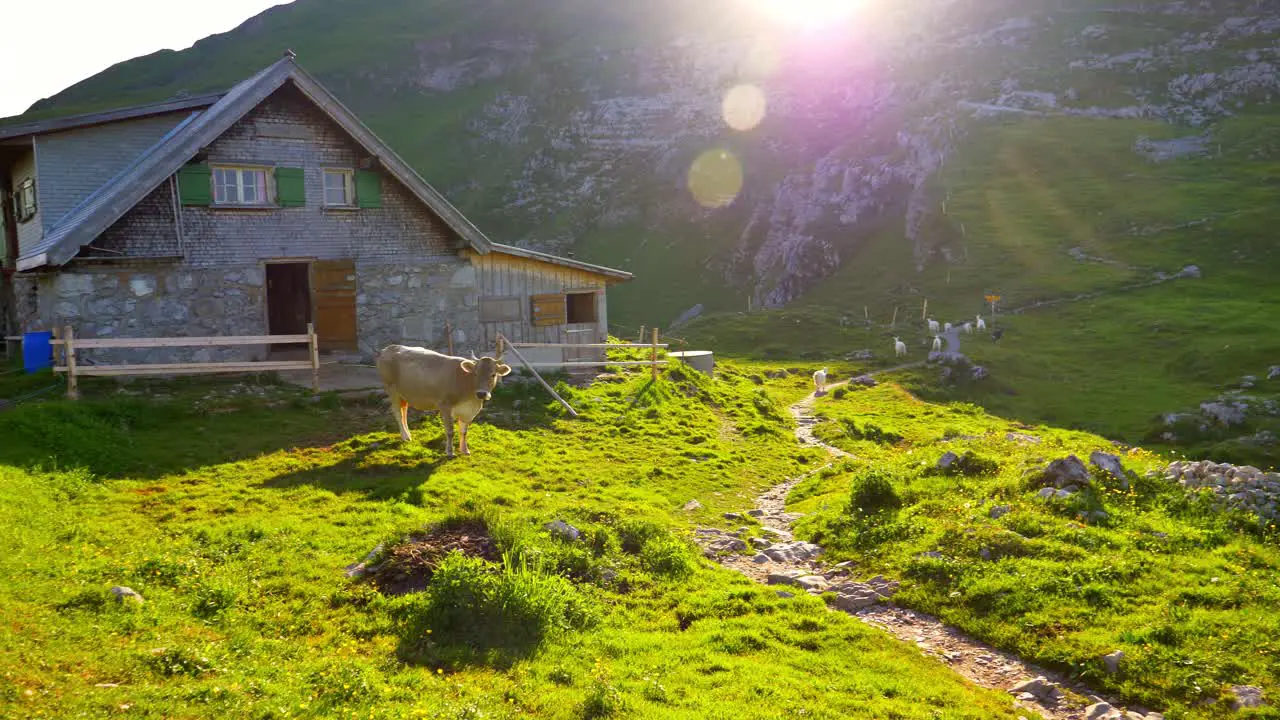 This is a 4 k 60fps slow motion shot of a mountain top