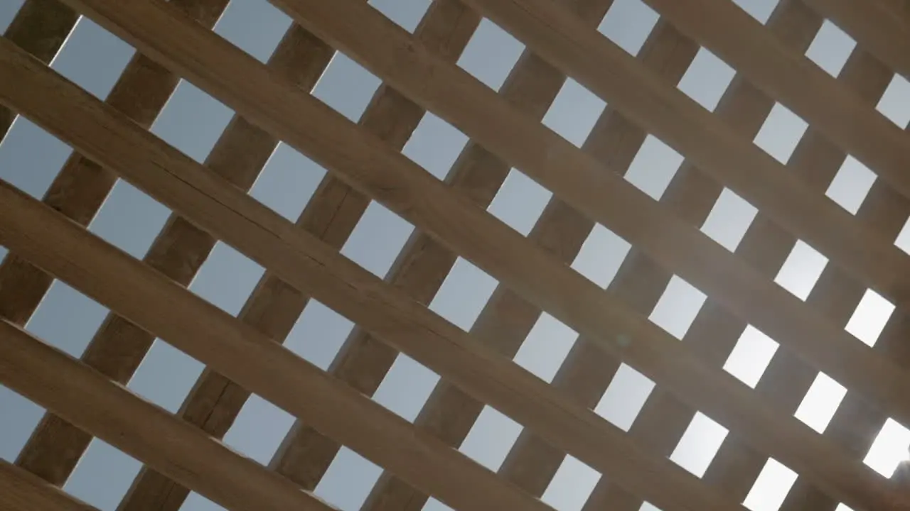 View to sky and sunshine through wooden net shed