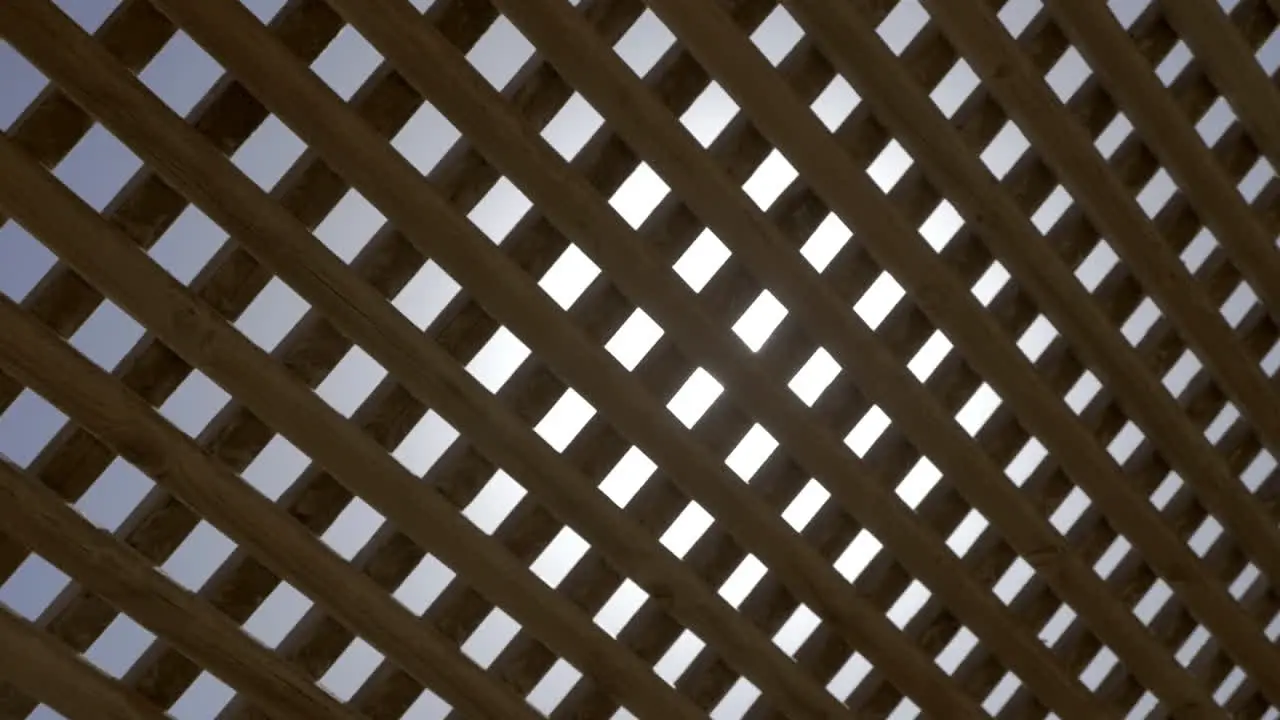 Bright sun shining through the wooden net shed