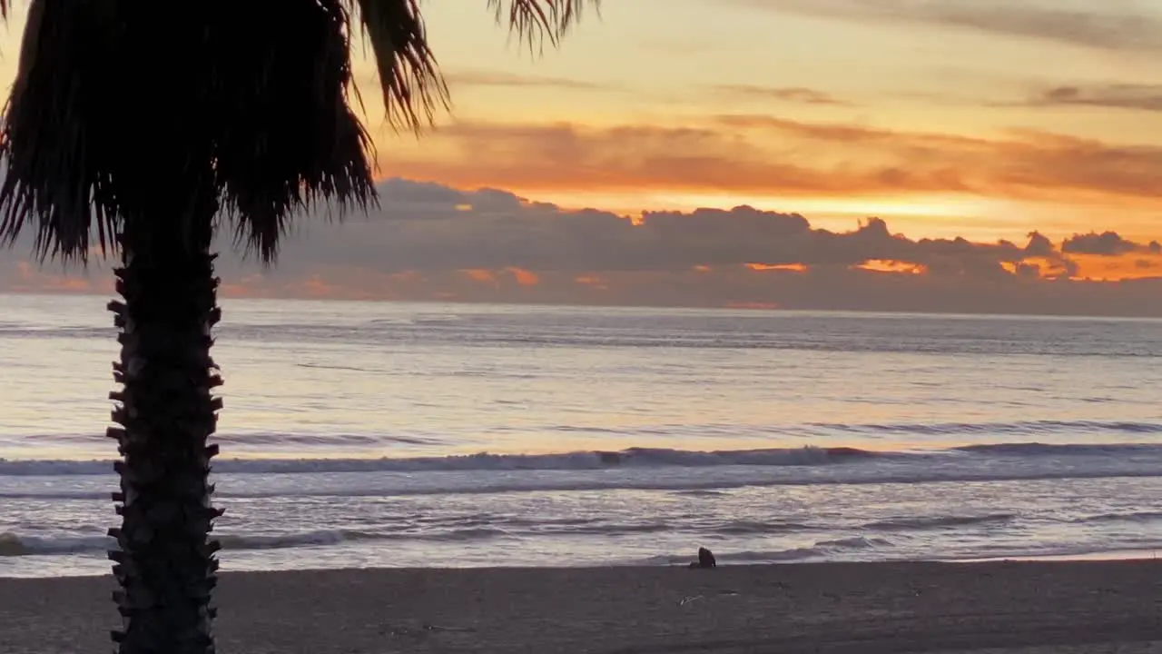 Surfers at Sunset Cinematic 4K Aerial Drone Footage Portugal