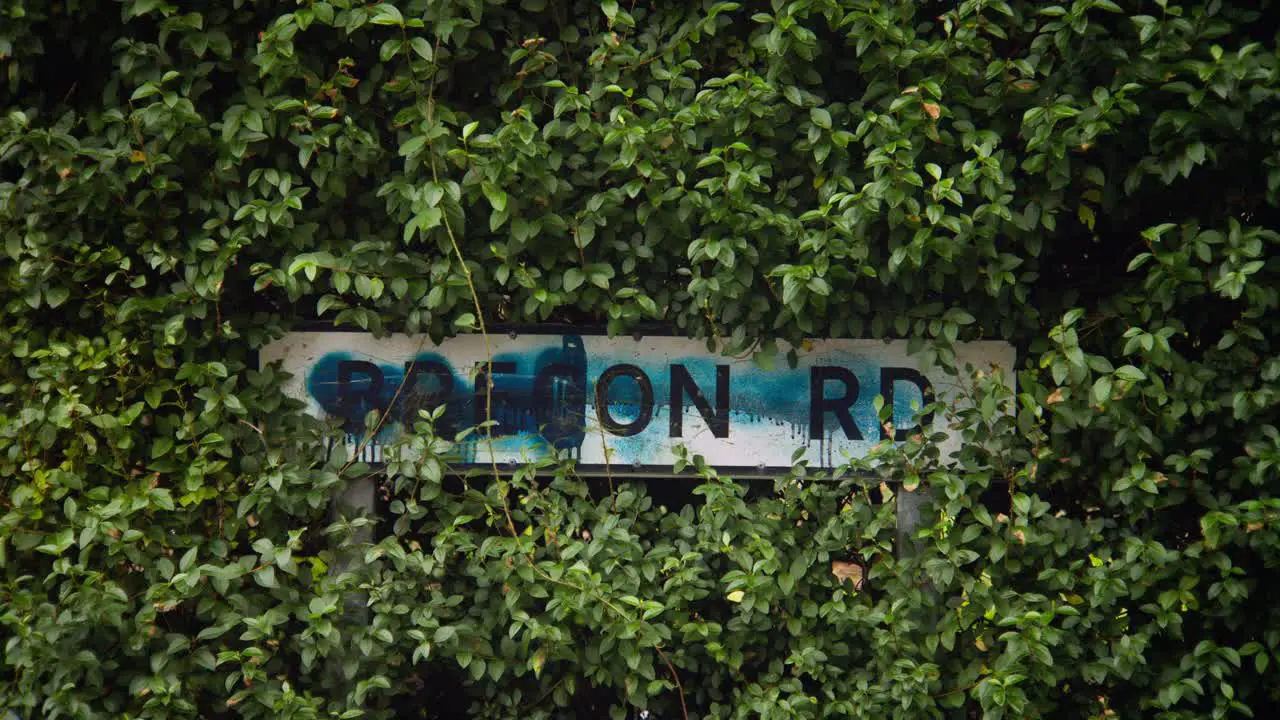 Vandalized road sign covered in graffiti