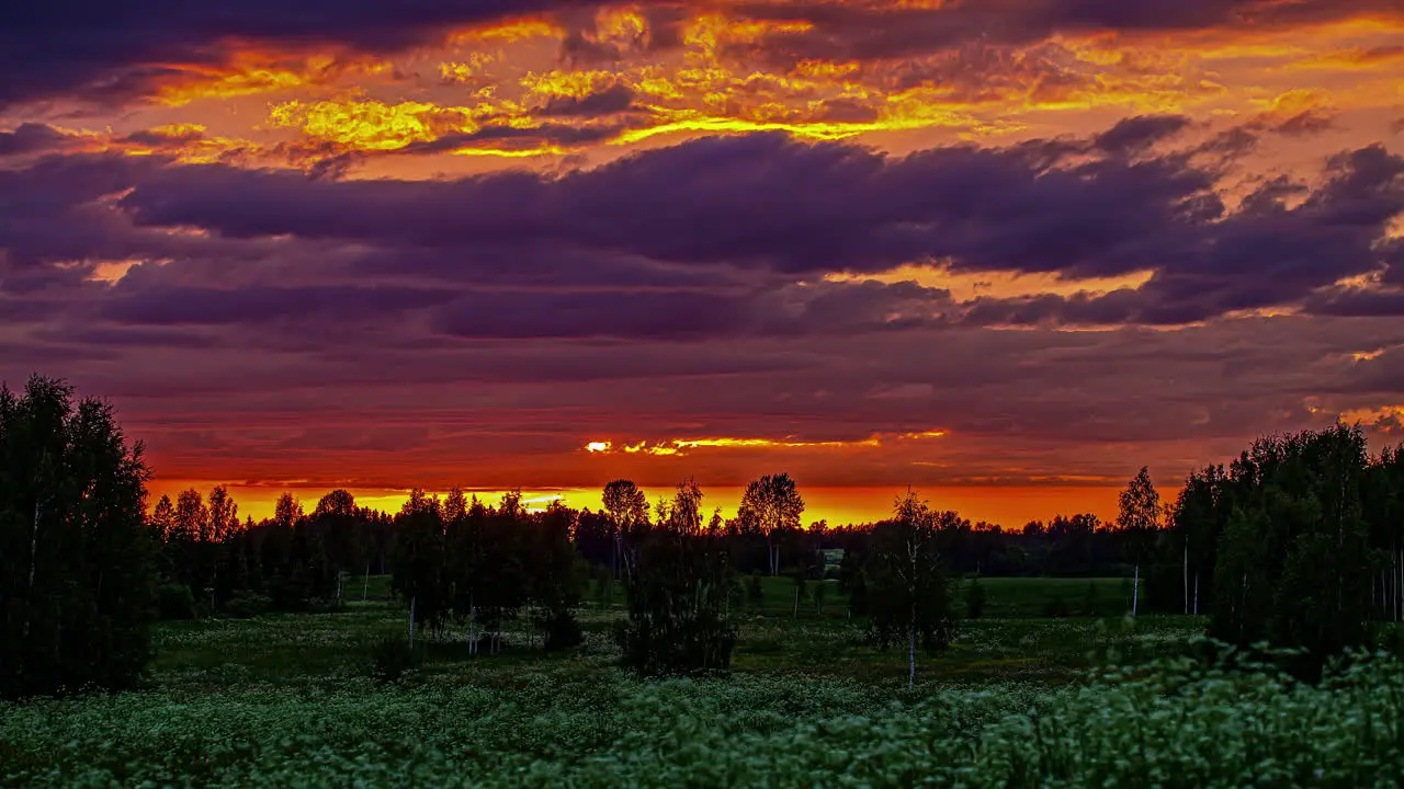 Static shot of dark clouds passing by in timelapse over wild white flowers over green forest in the background with green grasslands in foreground in timelapse at dawn