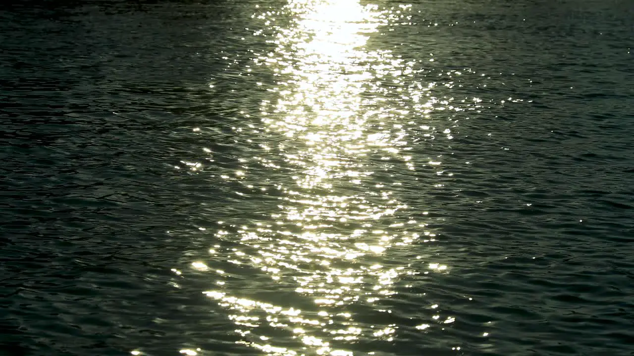 Swimming pool sunset sun reflection in water