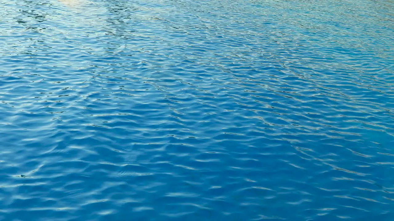 Water rippling in swimming pool clean swimming pool reflection