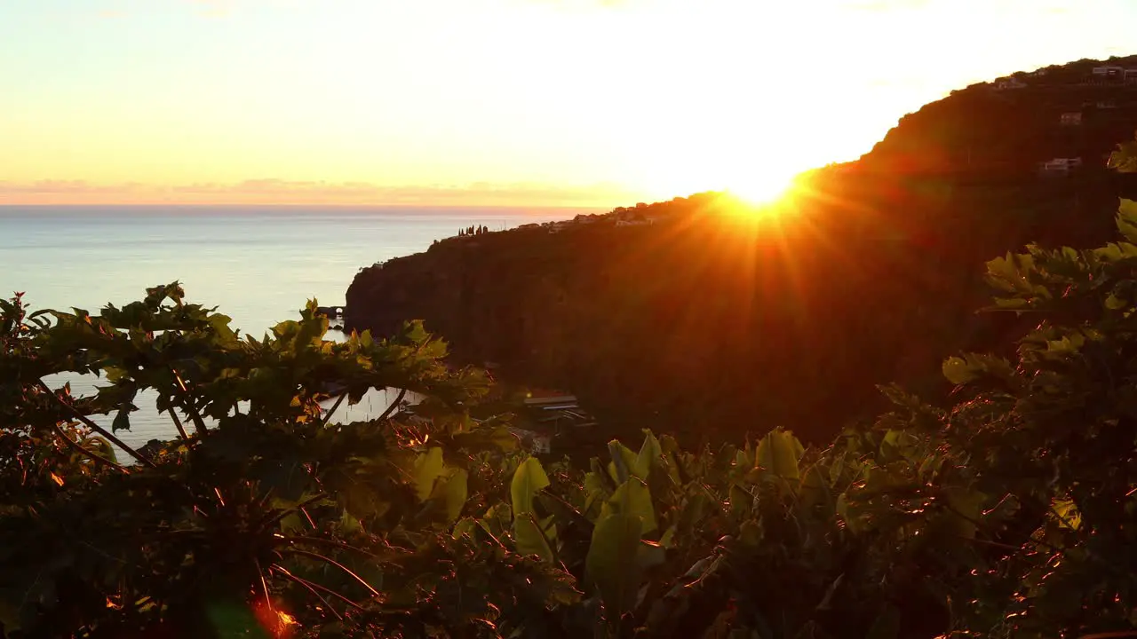 warm light of the setting sun on the leaves of banana trees and papaya plants with the ocean in the background