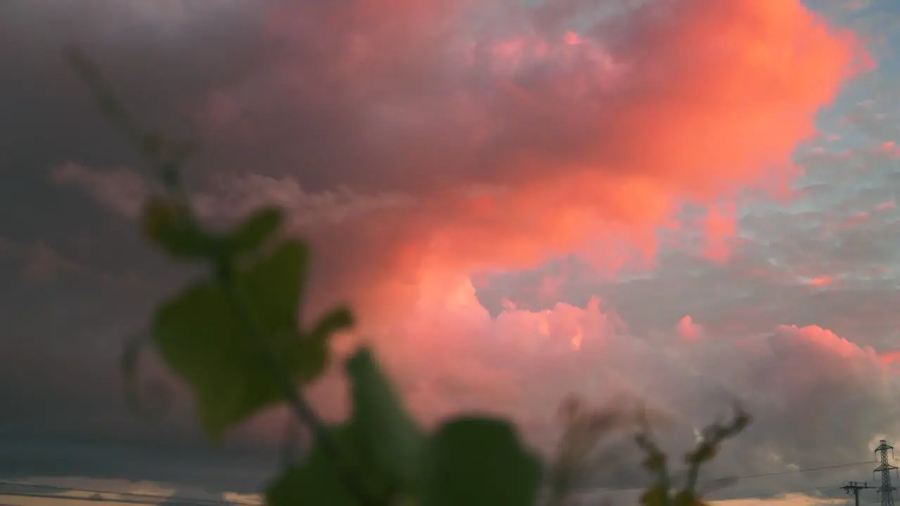 Dolly shot of beautiful colored clouds during dusk at a vineyard in Waipara New Zealand