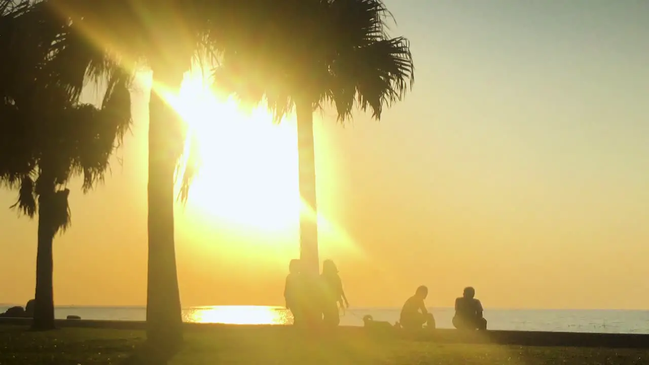 Time Lapse of Palm tree and people near the beach