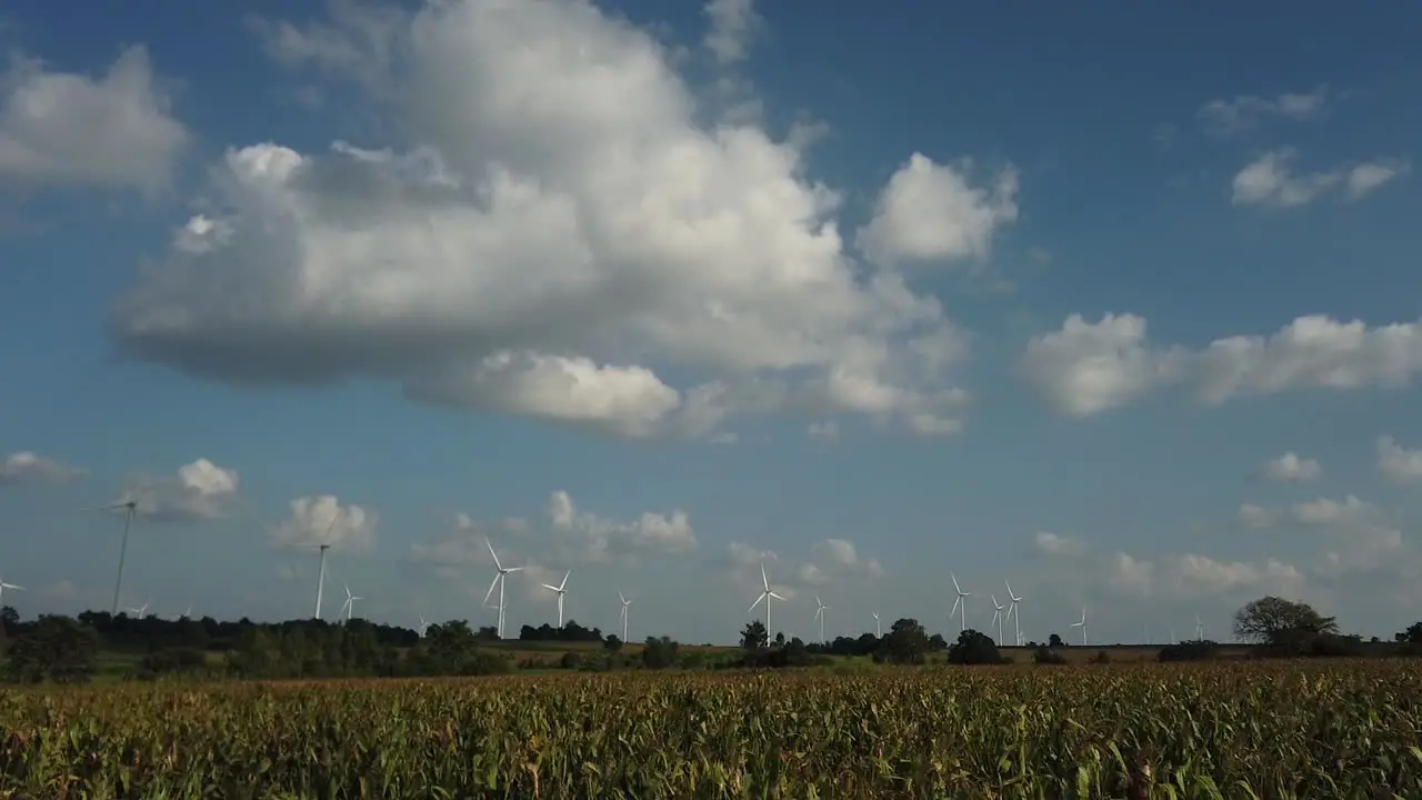 Wind Turbines jutting out of the horizon of a beautiful landscape a cornfield in the foreground while the sky is blue and the clouds are fluffy like cotton balls captured in slow motion