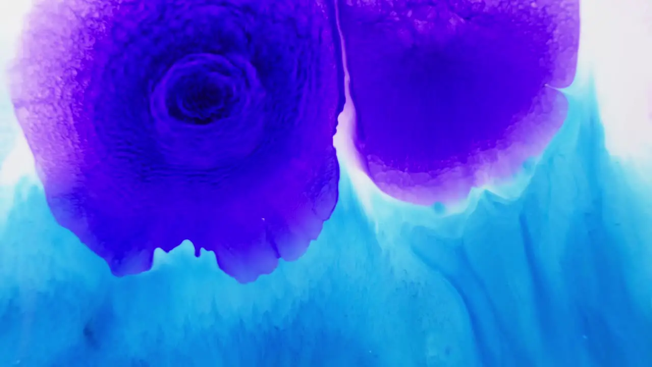 Violet and blue ink swirls in water resembling floral patterns abstract and artistic