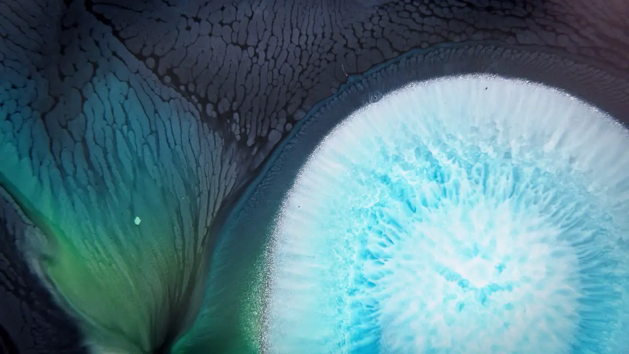 Ink in water with dark and light blue shades creating a fractal pattern