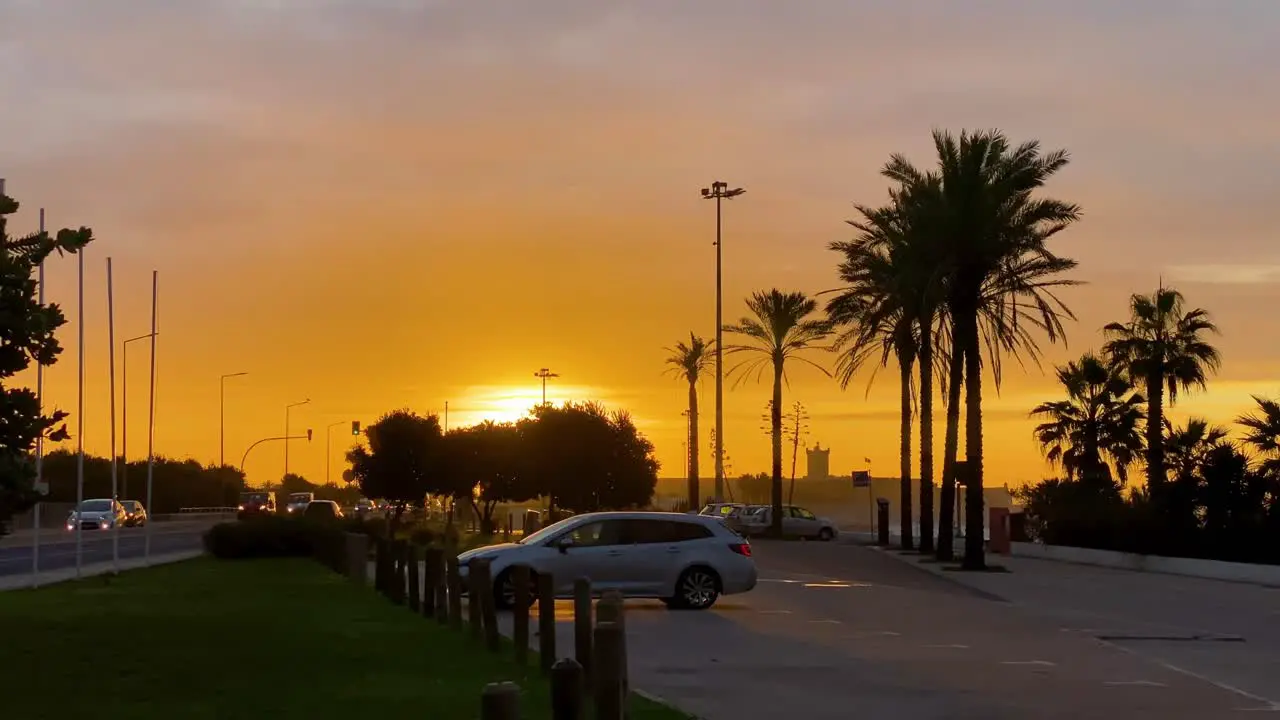 beautiful sunset in nature over tree and cars near the beach