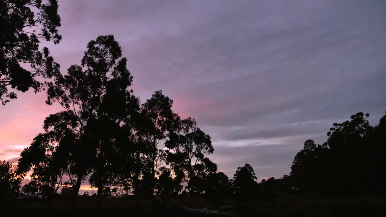 Stunning orange purple sunset sky timelapse with large Australian gum tree silhouette in foreground as sun goes down and clouds move past on beautiful low light evening