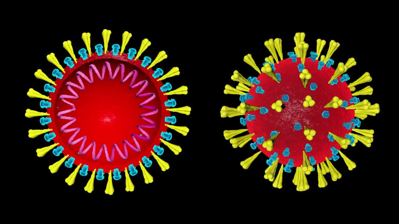 CoronaVirus Black Screen Background