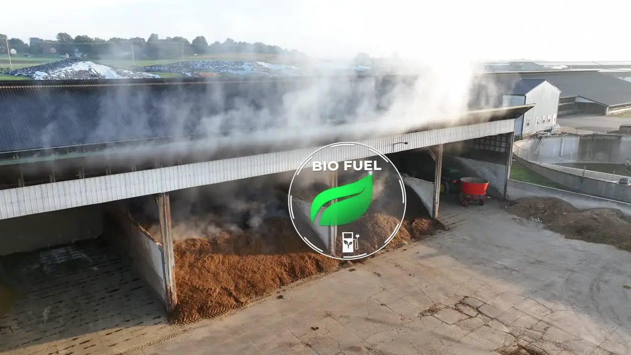 Steam rises from a biomass pile at a biofuel facility