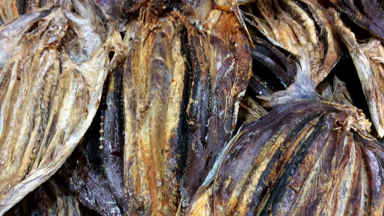 Katsuwonus pelamis Skipjack tuna fish salted and sun dried prohibited endangered species fisheries sell buy local fish market portuguese traditional cusine delicacy atlantic ocean catch smoked