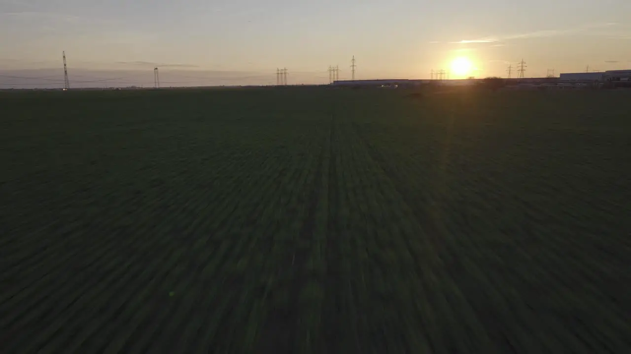 Aerial flyover green fields in nature during golden sunset time