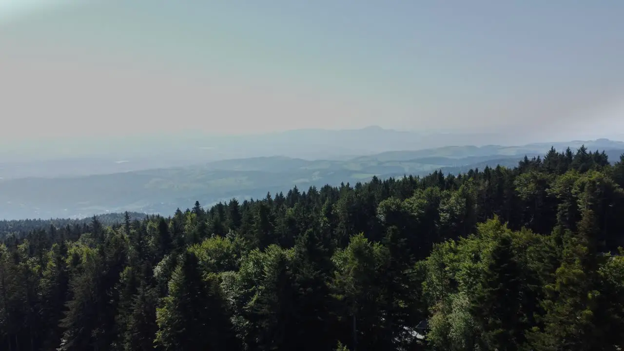 A panoramic view shows a thick forest and a hazy sky in Eastern Europe