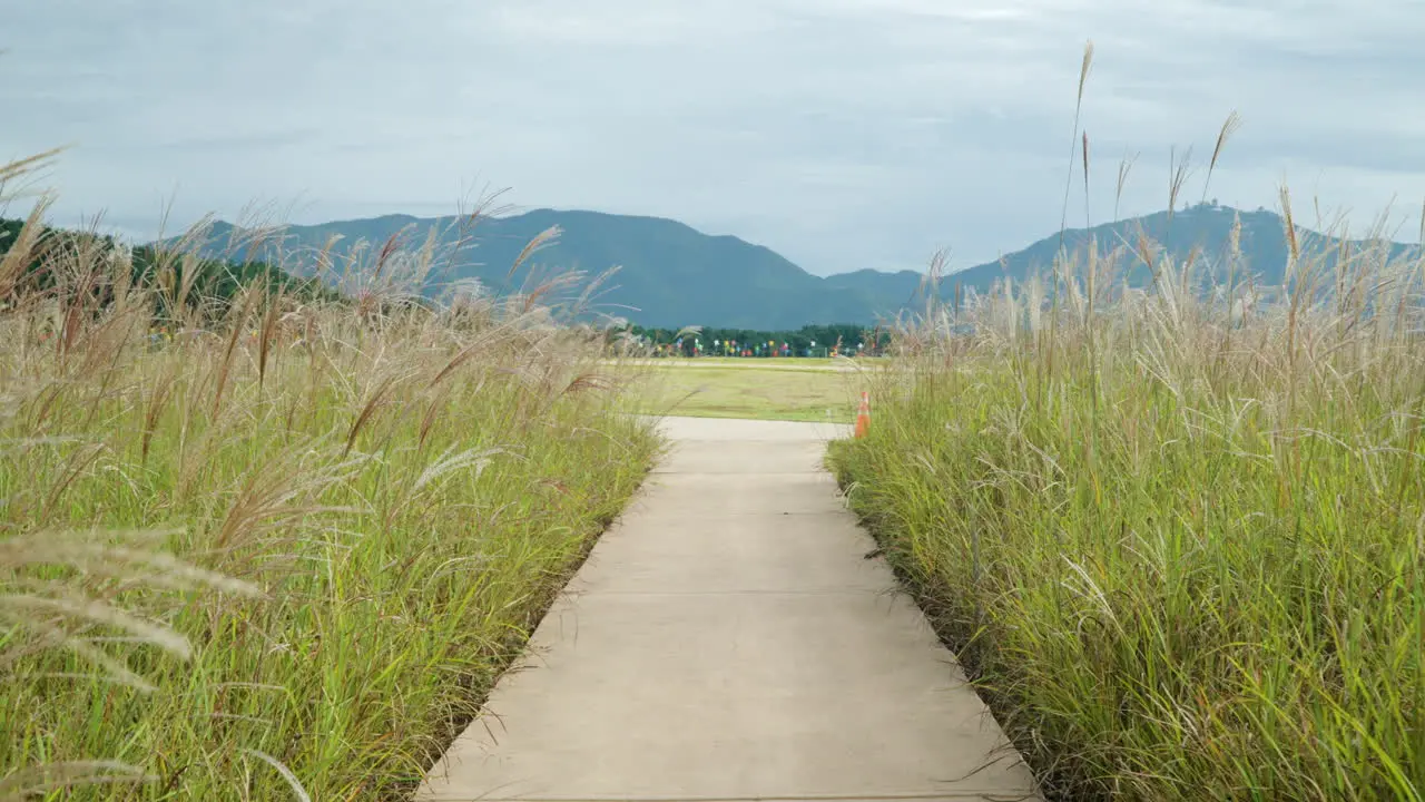 POV Walking on Road Through Chinese Silver Grass Reed Field with Mountains in Background at SMG Saemangeum Environment Ecological Complex