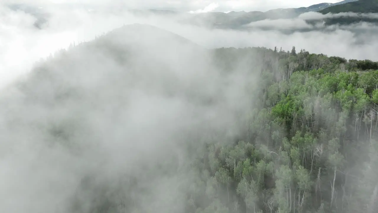 Aerial of low fog hanging over mountain and forest trees-9