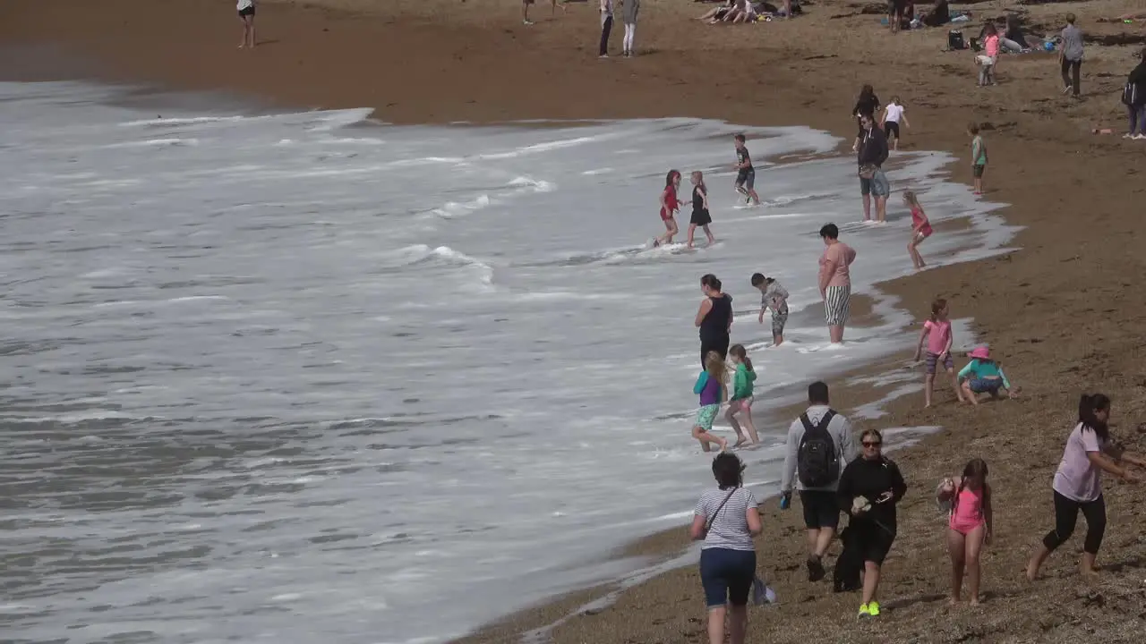 A group of people standing and running on a beach next to the sea