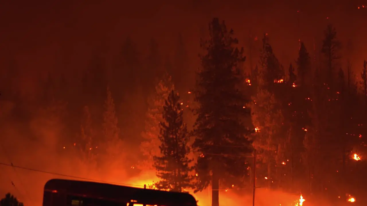 Raging bushfire glowing red spruce forest burning during nighttime