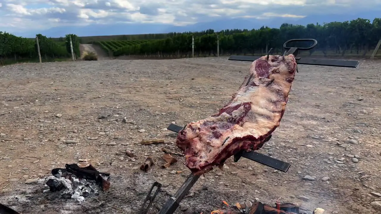 Delicious flame ribs prepared in the Argentine style in middle of the vineyards