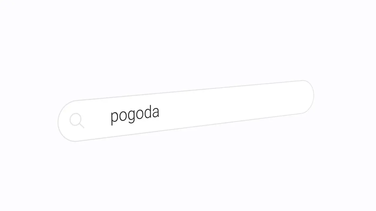 pogoda search box weather