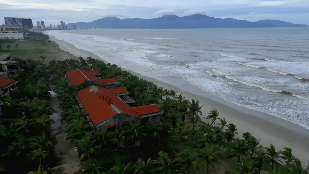 Aerial of palm trees and waves from the ocean hitting the sandy beach