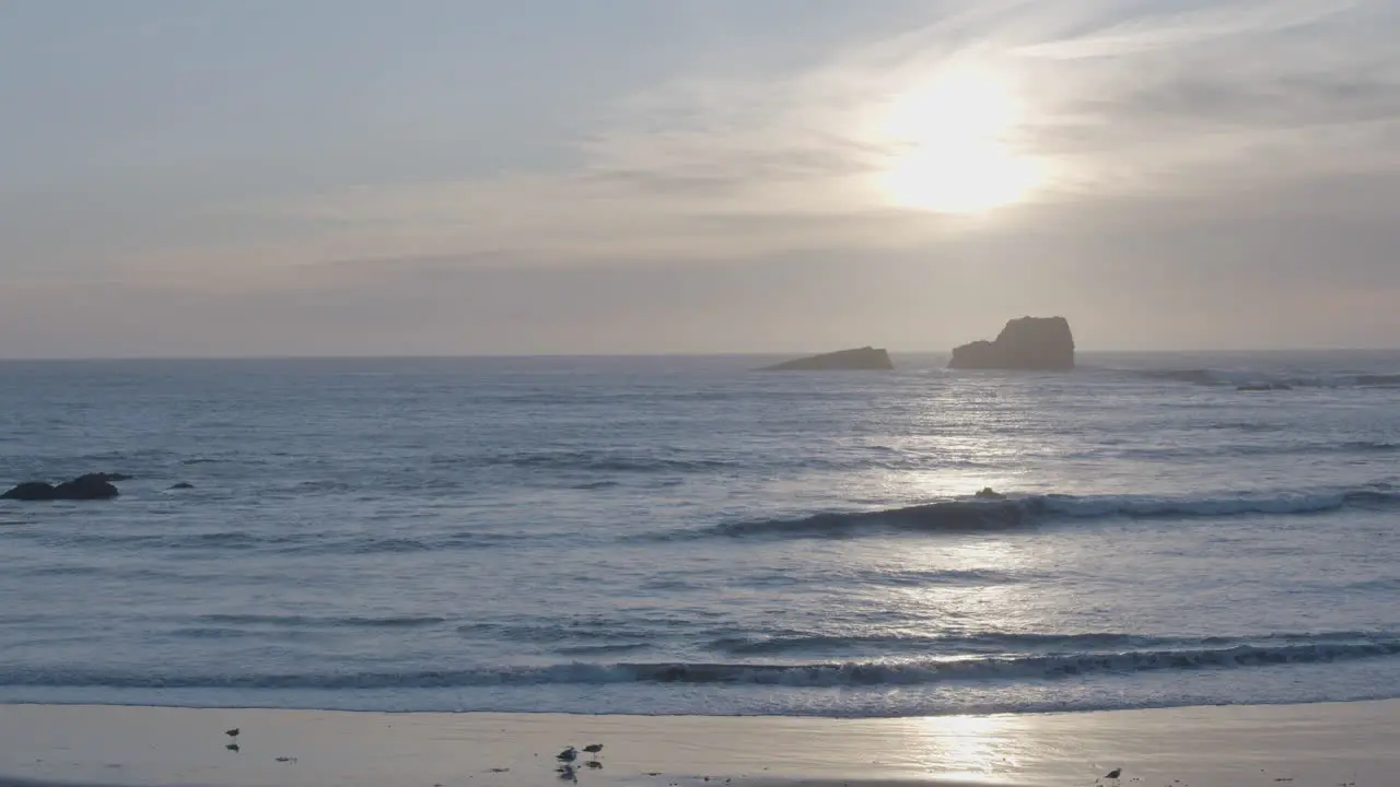 Stationary shot of seagulls flying in slow motion while sunsetting in the background of Elephant Seal Vista Point Beach