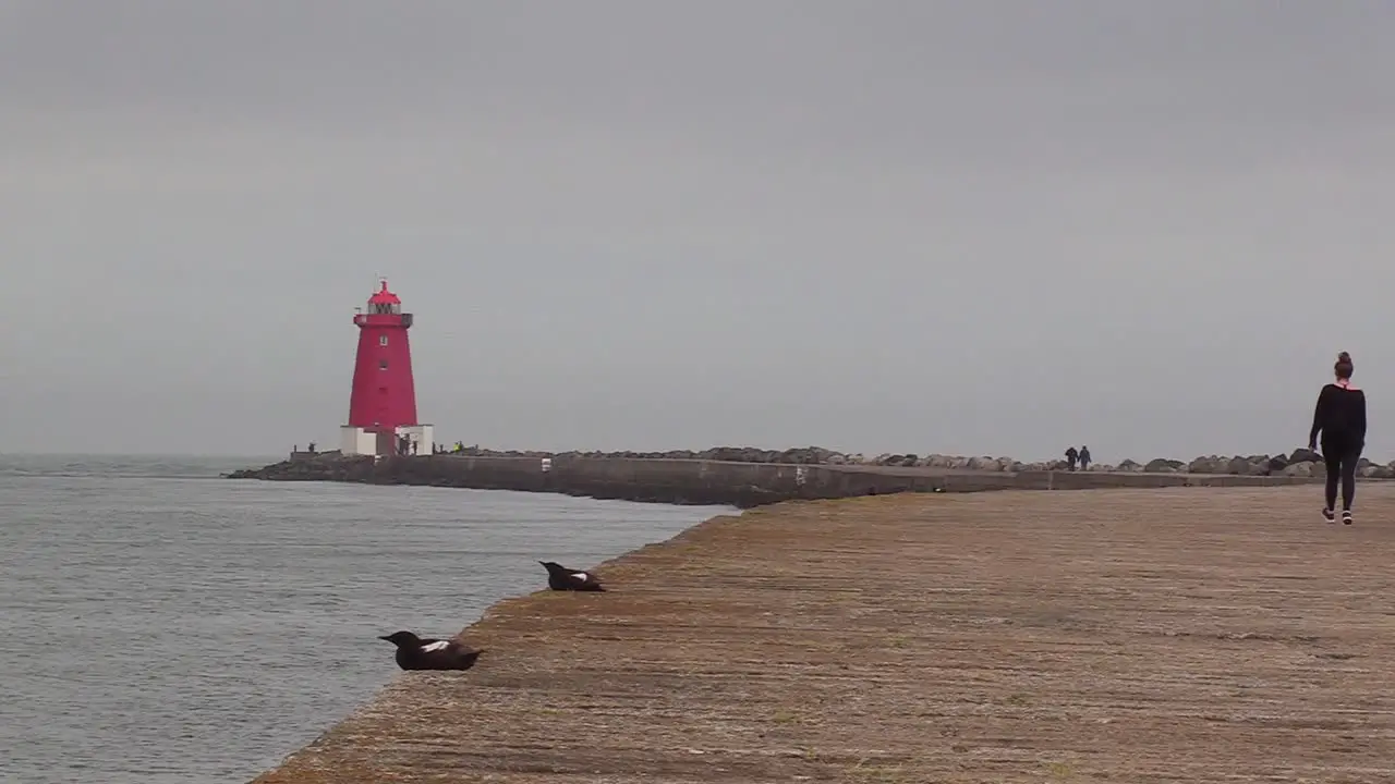 People walking along the coast or south wall