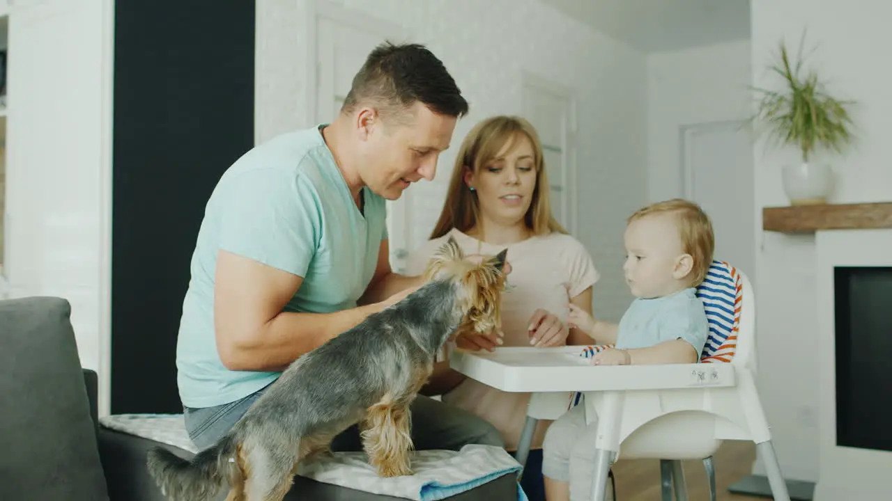 Young Mother And Father Feed Their 10 Months Old Son