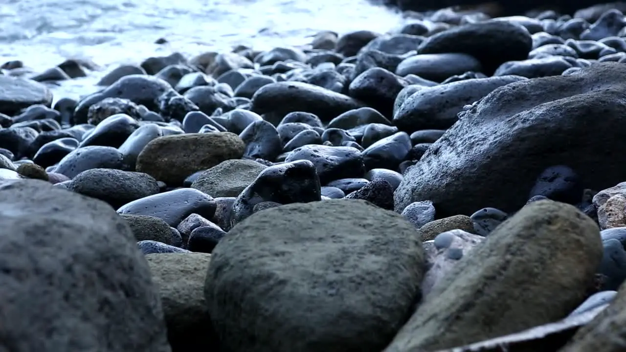 Crab climb the rock watching the endless ocean