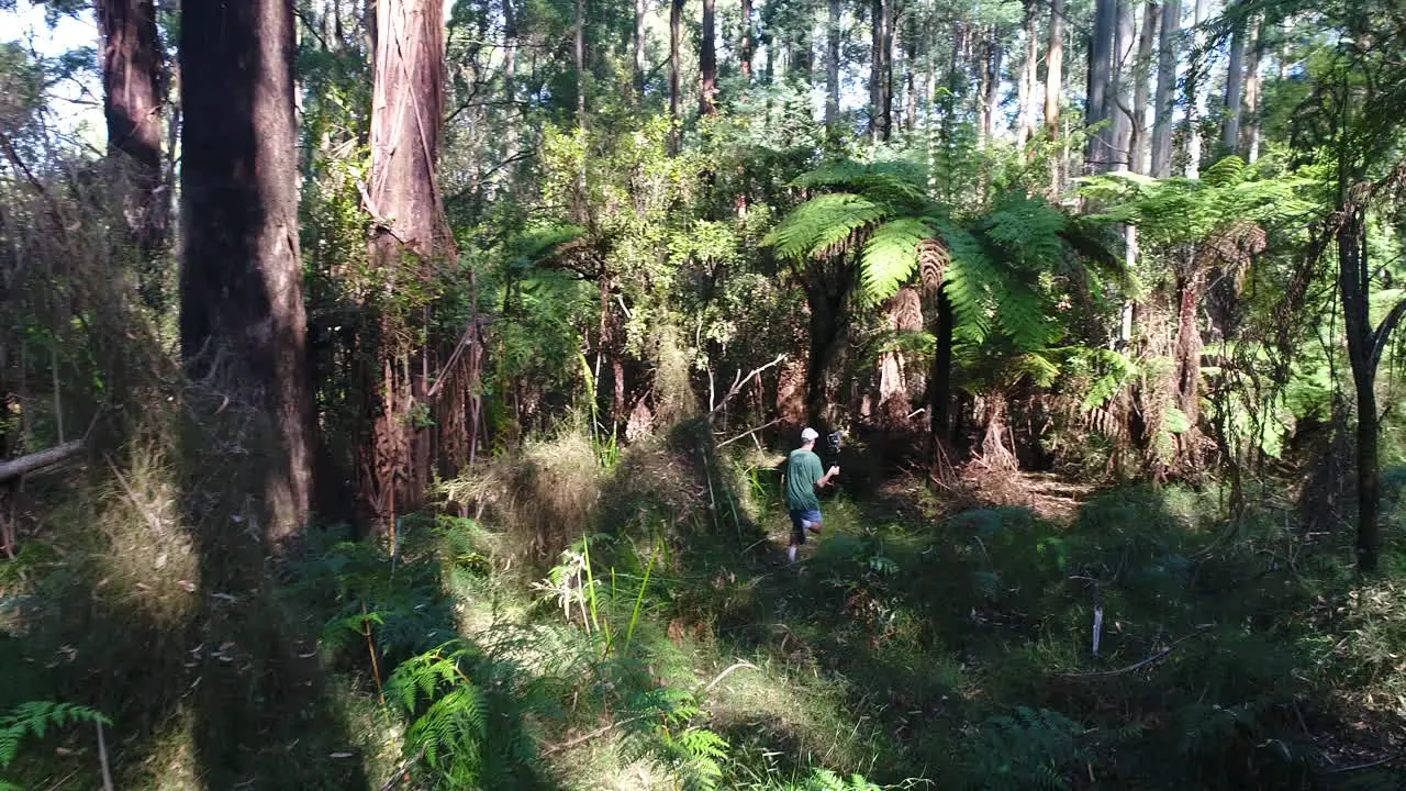 Man walking along a forest track