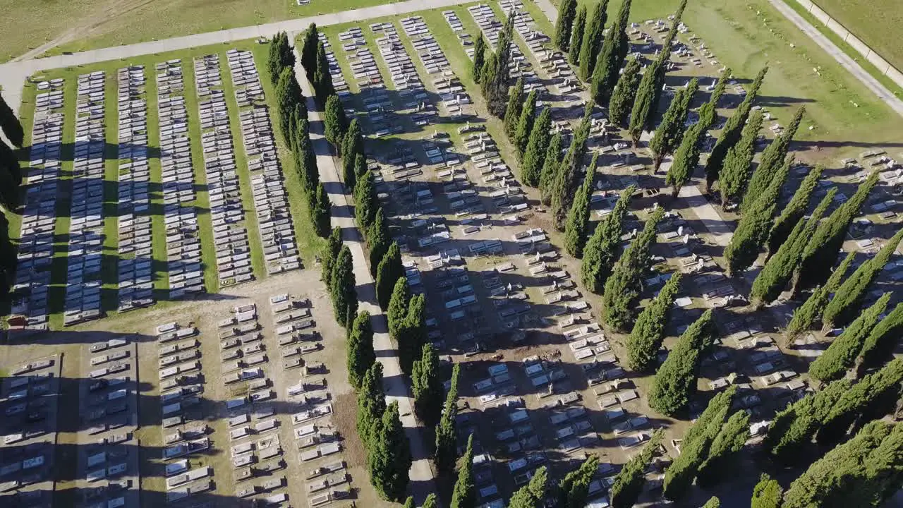 Cemetery With Cypress Trees On A Sunny Day