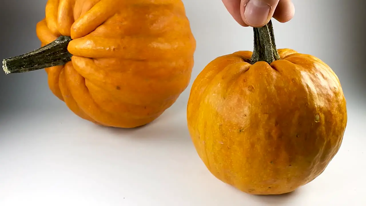 Male hand putting down small decorative pumpkin on a white table SLOMO STILL