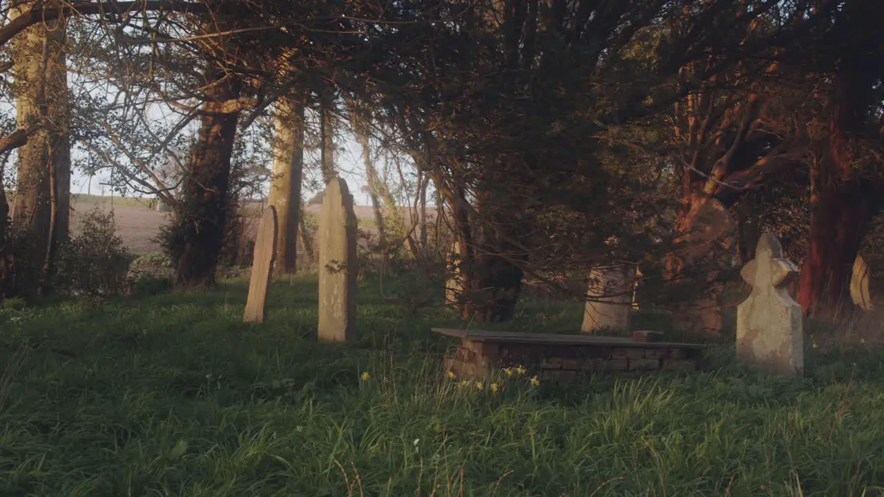 Grave Marks In Old Cemetery With Growing Grassy Landscape And Trees At Misty Morning